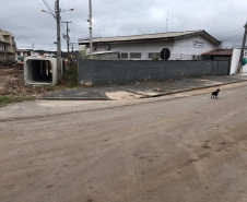 Retirada de veículos 