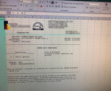 Teste de gravidez falsificado