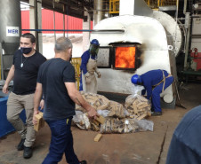 Tabletes de droga sendo colocadas no incinerador
