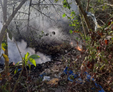 Área com árvores e lixo pegando fogo