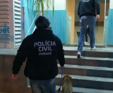 Cachorro recebendo devido cuidado