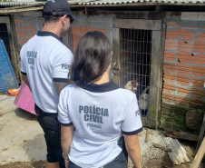 Dois policiais civis observam cães presos em um canil clandestino