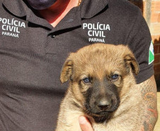 Policial civil segura filhote resgatado