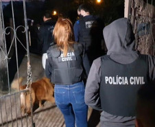 PCPR apreende arma de fogo em ação contra violência doméstica 