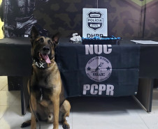 Cão policial posa em frente à droga apreendida