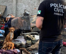 Policial civil observa local