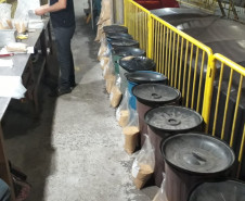 Amostras de farelo enfileiradas em saco para avaliação