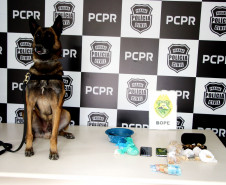 PCPR e PMPR prendem 15 envolvidos com tráfico de drogas