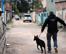 PCPR e PMPR prendem 15 envolvidos com tráfico de drogas