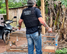 Policial civil segurando duas gaiolas com passaros