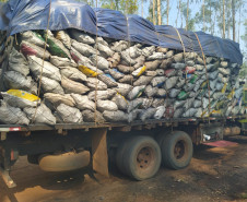 OPERAÇÃO HÓRUS - PCPR e PMPR apreendem cerca de 20 toneladas de carvão vegetal em Querência do Norte  