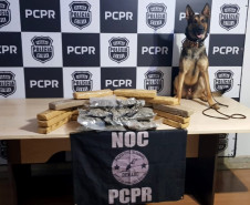 Cão policial posa para foto ao lado de tabletes de droga apreendida