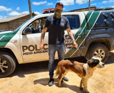 Policial civil com cachorro resgatado, ao lado de viatura