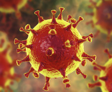 coronavirus