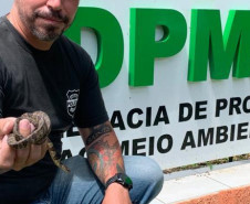 Policial civil segurando cobra resgatada