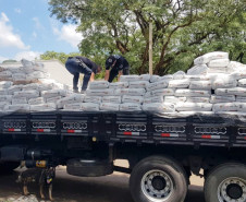 Policiais civis em cima de carroceria de caminhão carregado com droga