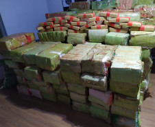 Diversos pacotes de droga apreendida