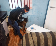 PCPR prende dois indivíduos em operação contra homicídio ocorrido no Tatuquara