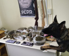 PCPR prende 12 integrantes de organização criminosa em Sengés