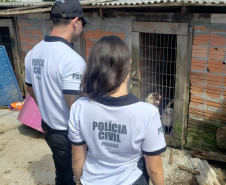 Dois policiais civis observam cães em situação de maus-tratos
