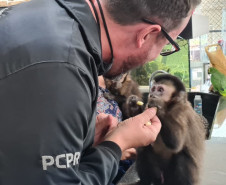 Policial civil interagindo com um macaco