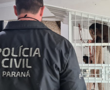 Policial civil observa macaco preso em gaiola