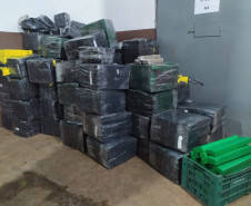 PCPR apreende 2,6 toneladas de maconha 