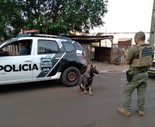 PCPR apreende drogas e armas no norte do Estado