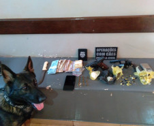 PCPR apreende drogas e armas no norte do Estado