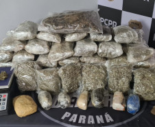 PCPR apreende cerca de 1,5 tonelada de maconha no Centro de Curitiba