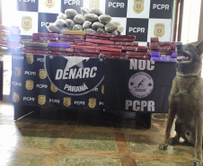 PCPR apreende 72 quilos de droga em ônibus de viagem em Cascavel