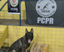 Cão policial apreende entorpecente em Mandaguari