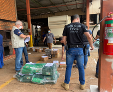 PCPR incinera 533 quilos de drogas em Londrina