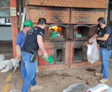 PCPR incinera 533 quilos de drogas em Londrina