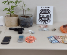 PCPR prende quatro suspeitos de tráfico de drogas em Ponta Grossa