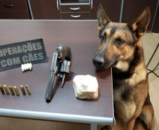 Cão da PCPR apreende arma e munições