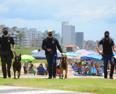 Caes policiais da PCPR no litoral