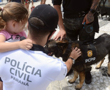 Caes policiais da PCPR no litoral