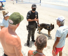 Caes policiais da PCPR no litoral