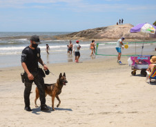 Caes policiais da PCPR no litoral