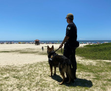 PCPR realiza fiscalização com auxílio de cães policiais na rodoviária de Matinhos