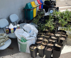 PCPR prende homem por produzir e vender drogas em Curitiba