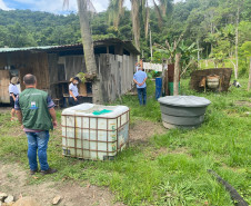 PCPR prende em flagrante homem por maus tratos a oito animais em Guaratuba