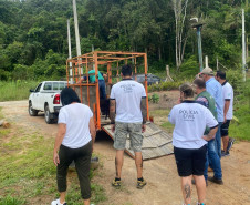 PCPR prende em flagrante homem por maus tratos a oito animais em Guaratuba