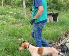 PCPR prende em flagrante homem por maus tratos a oito animais em Guaratuba