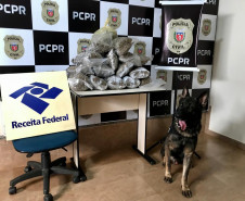 PCPR e Receita Federal apreendem 26,5 quilos de skank em dois estados 