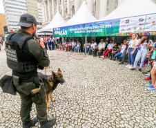 PCPR na Comunidade participa de evento de orientações a imigrantes e refugiados em Curitiba