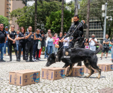 PCPR na Comunidade participa de evento de orientações a imigrantes e refugiados em Curitiba