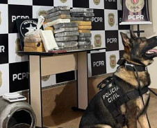 Cão policial ao lado de droga apreendida
