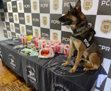 PCPR prende dois suspeitos de tráfico de drogas em Curitiba